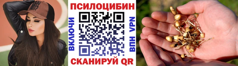 Псилоцибиновые грибы мицелий Лосино-Петровский