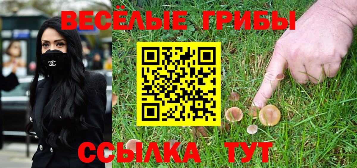 Галлюциногенные грибы MAGIC MUSHROOMS Лосино-Петровский