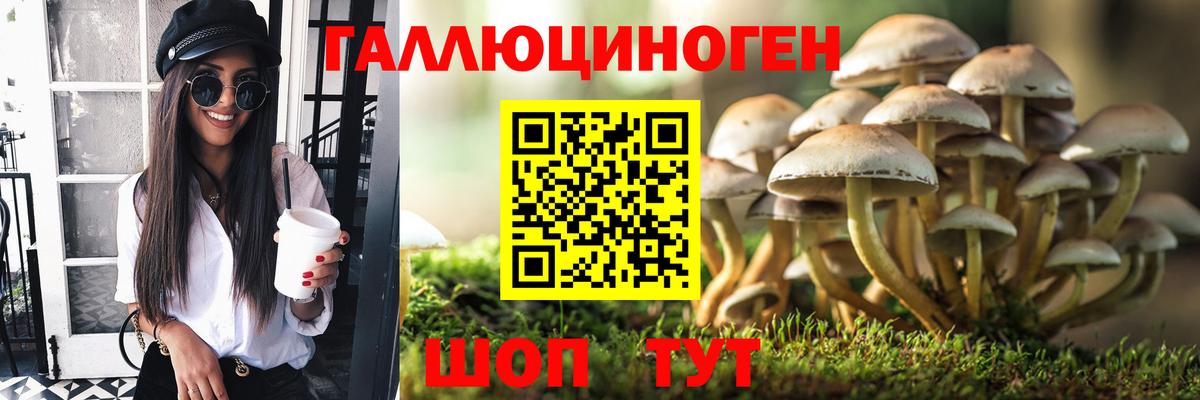 Галлюциногенные грибы Magic Shrooms  Вход с VPN  Лосино-Петровский 
