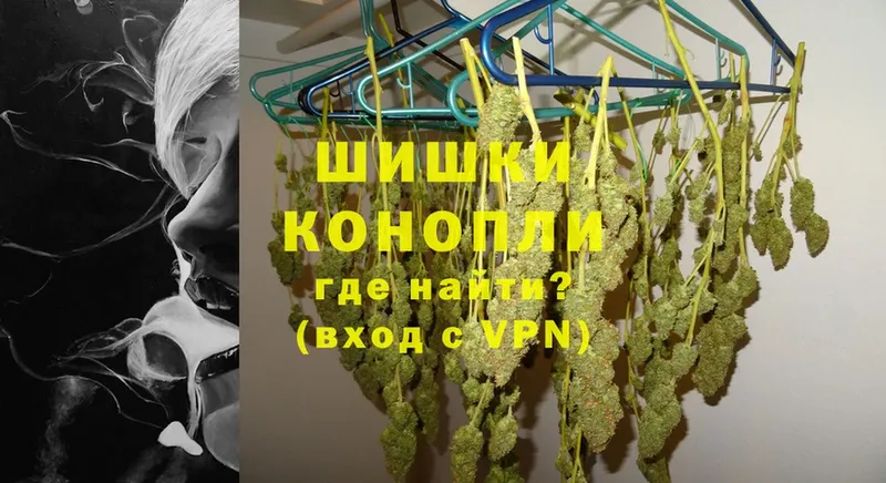 Бошки Шишки THC 21%  купить   Лосино-Петровский 